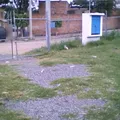 Genaro Codina