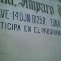 Maria Amparo Camacho