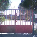 Rosaura Zapata