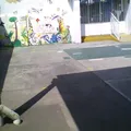 Ignacio M Altamirano