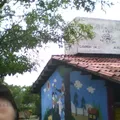 Alegria