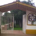 Rosaura Zapata