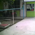 Irma Llauger Navarro