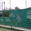 Concepcion Trejo Contreras