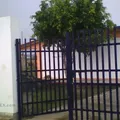 Irene Robledo