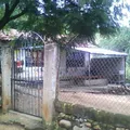 Justo Sierra