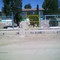 Rosas de la Infancia