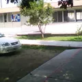 Carmen Torres Veliz