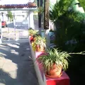 Club de Leones