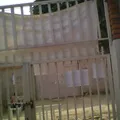 Nunutzi