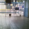 Jose Vasconcelos