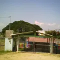 Marcelino Davalos Vazquez