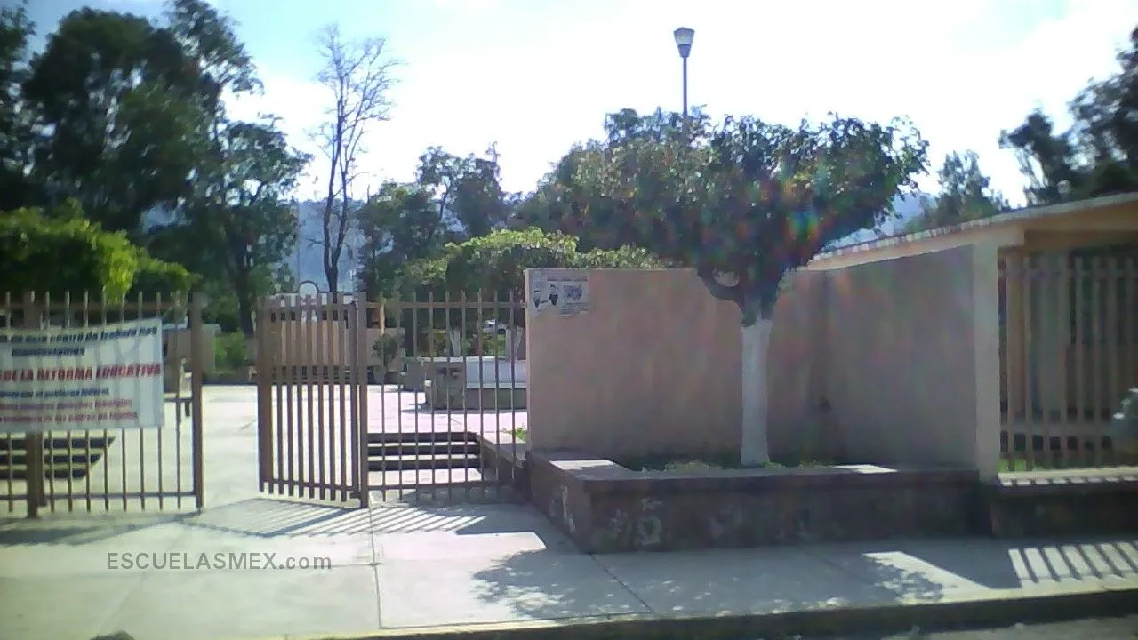 Cam Mundo Nuevo Entrada