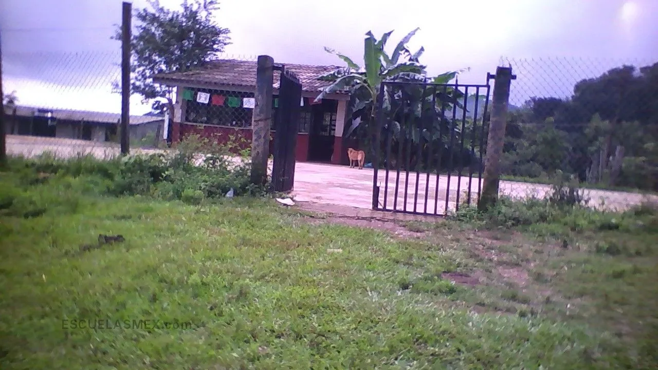 Kafentitla Entrada