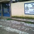 Ricardo Flores Magon