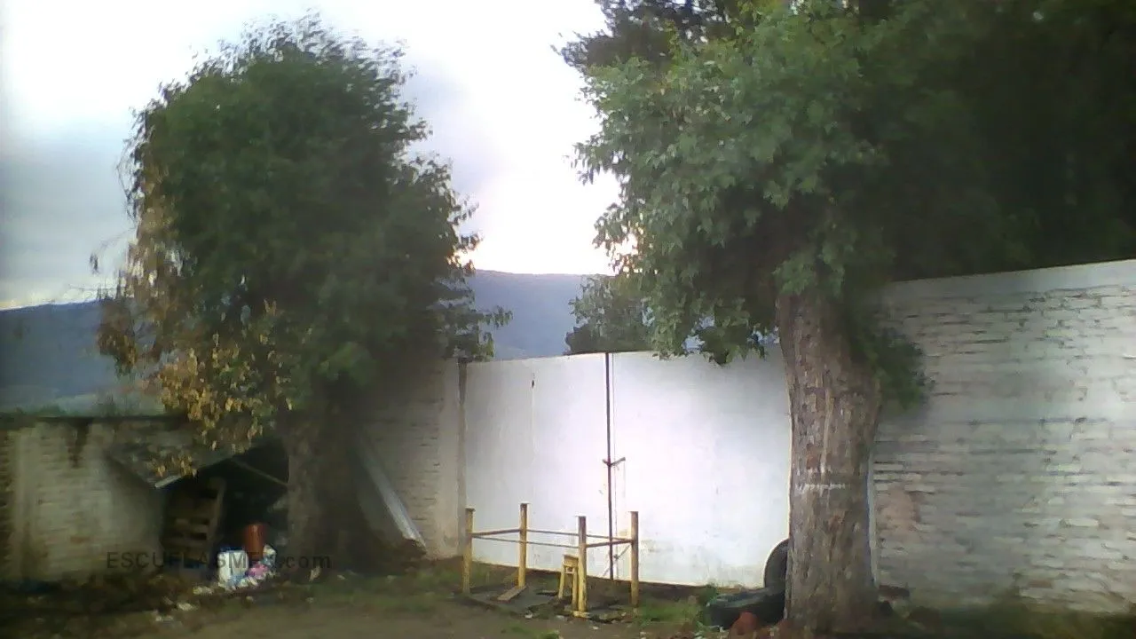 Carlos B Alonso Entrada
