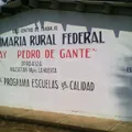 Fray Pedro de Gante