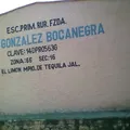 Francisco Gonzalez Bocanegra