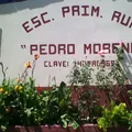 Pedro Moreno