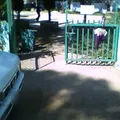 20 de Noviembre