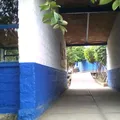 Juan Aldama