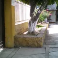 Manuel Lopez Cotilla