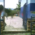 Pensador Mexicano