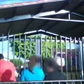 Vicente Guerrero