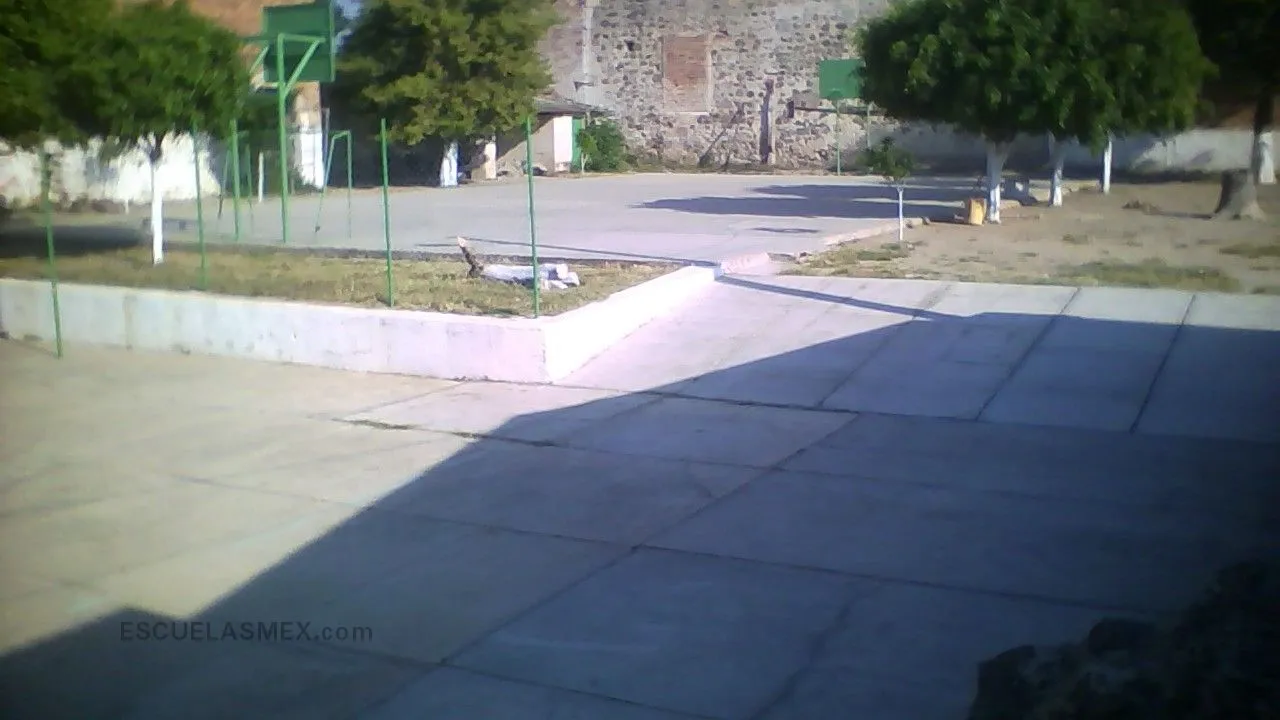 Agustin Yaðez Entrada