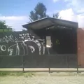Jose Rosas Moreno