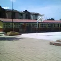 Flores Magon