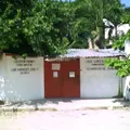Celestin Freinet