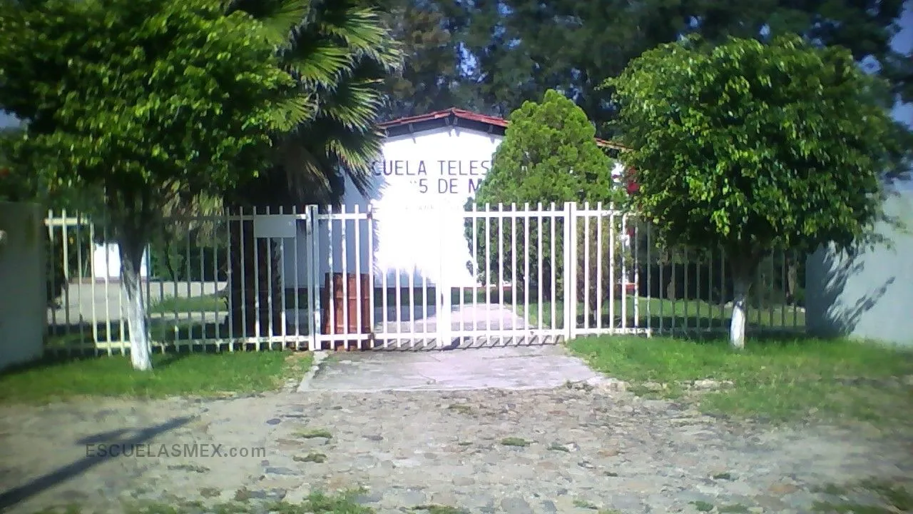 5 de Mayo Entrada
