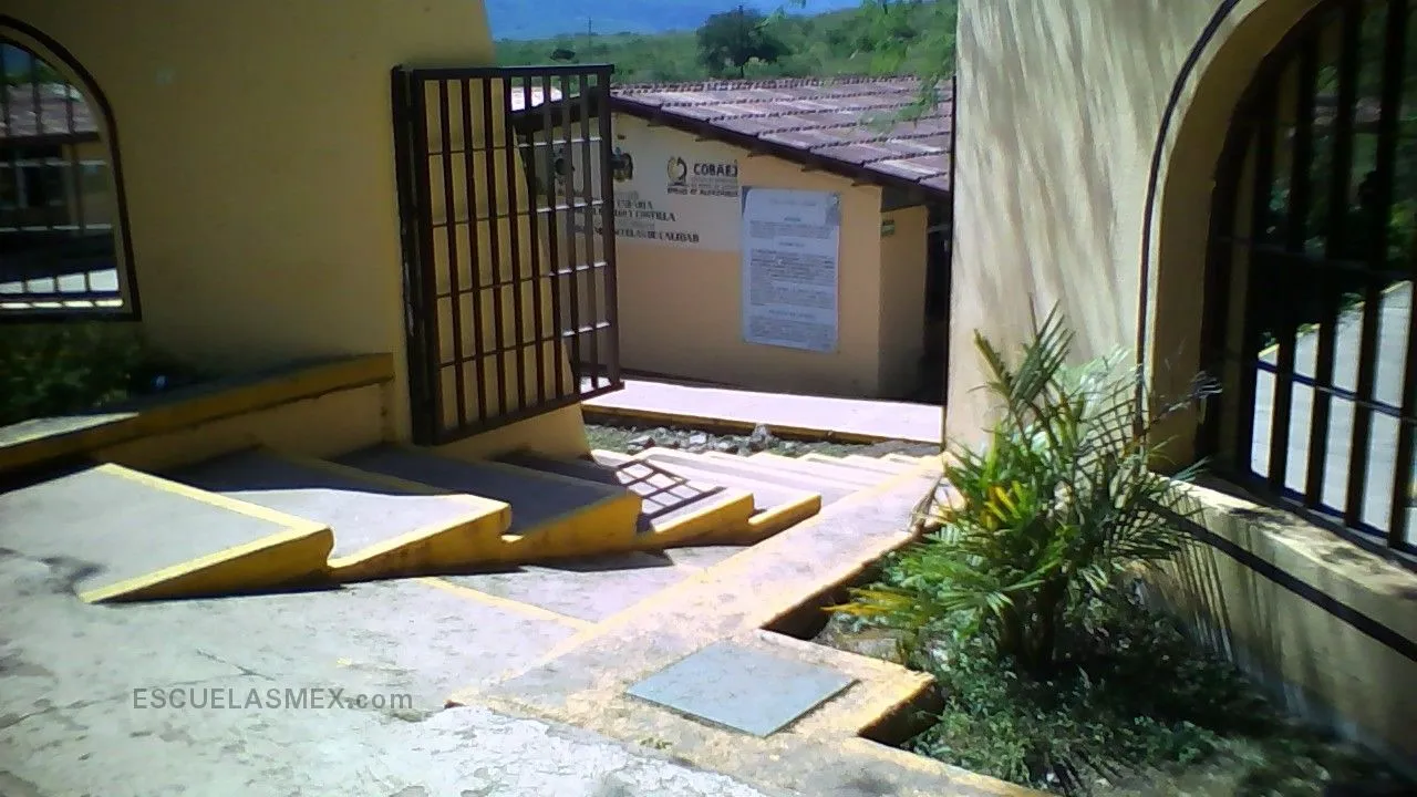 Miguel Hidalgo y Costilla Entrada