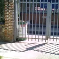 Mixta F 18