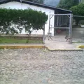 Jose Vasconcelos