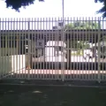 Teresa de Calcuta