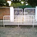 Mixta F 9