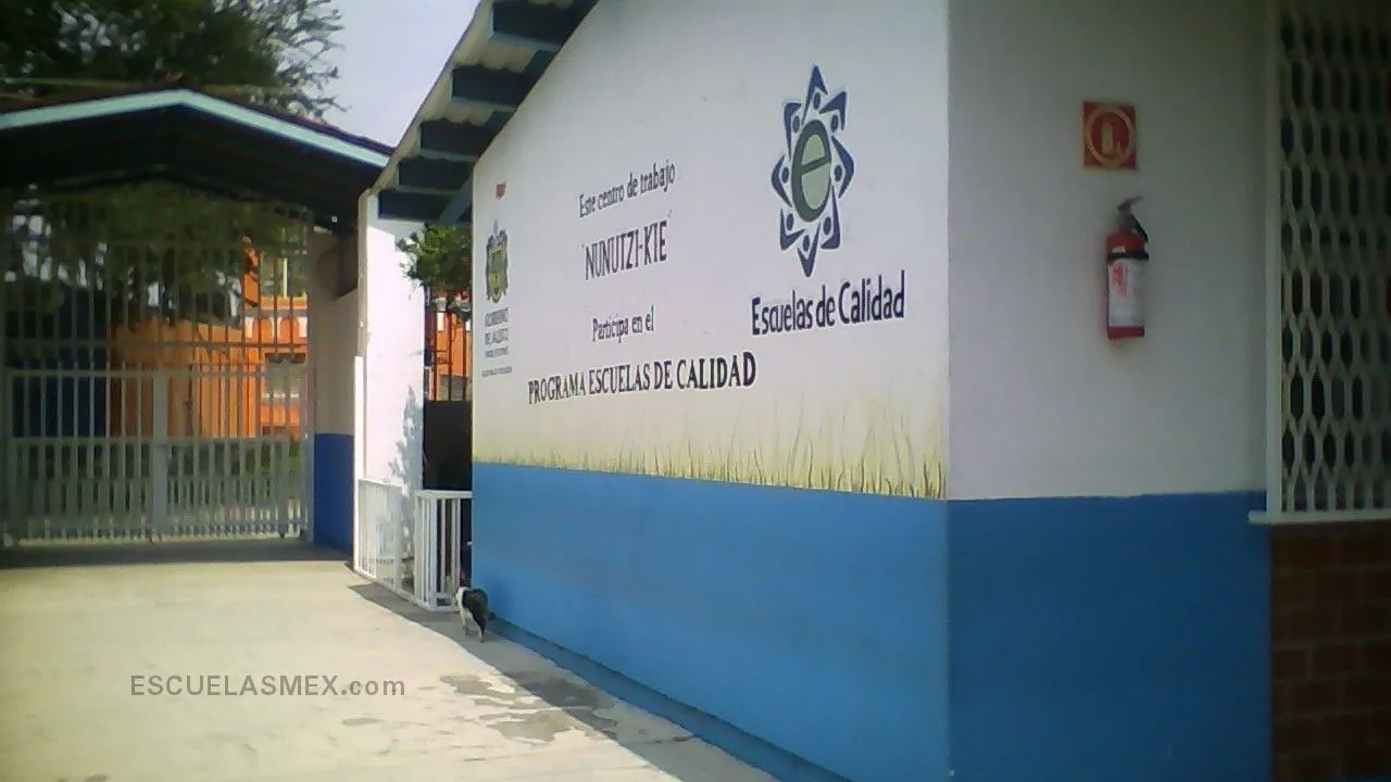 Nunutzi Kie Entrada