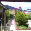 Justo Sierra