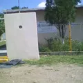 Rosas de la Infancia