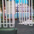 Ricardo Flores Magon