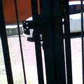 Luis Donaldo Colosio Murrieta