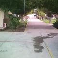 Helen Keller