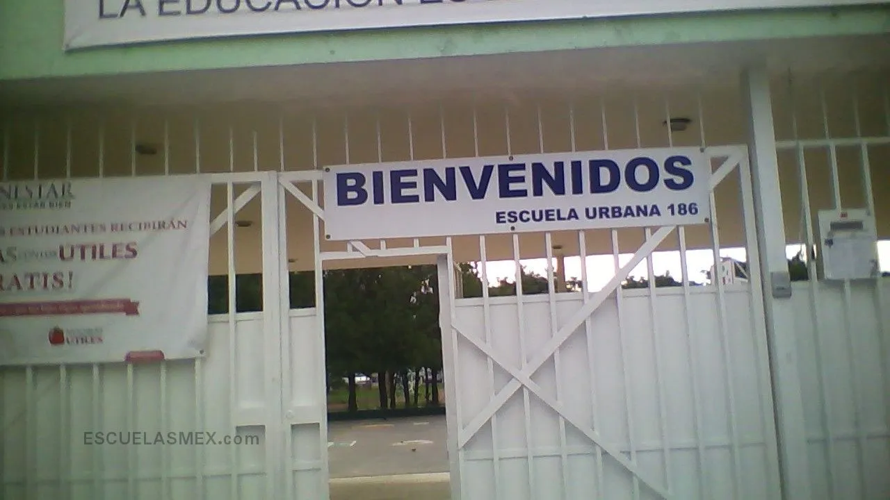 Carmen Aldrete Castillo Entrada