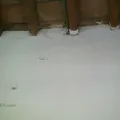 Veinte de Noviembre