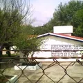 Ramon Corona