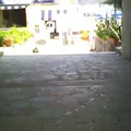 Valentin Gomez Farias