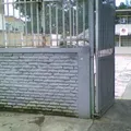 Rosas de la Infancia