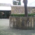 Instituto Cabañas